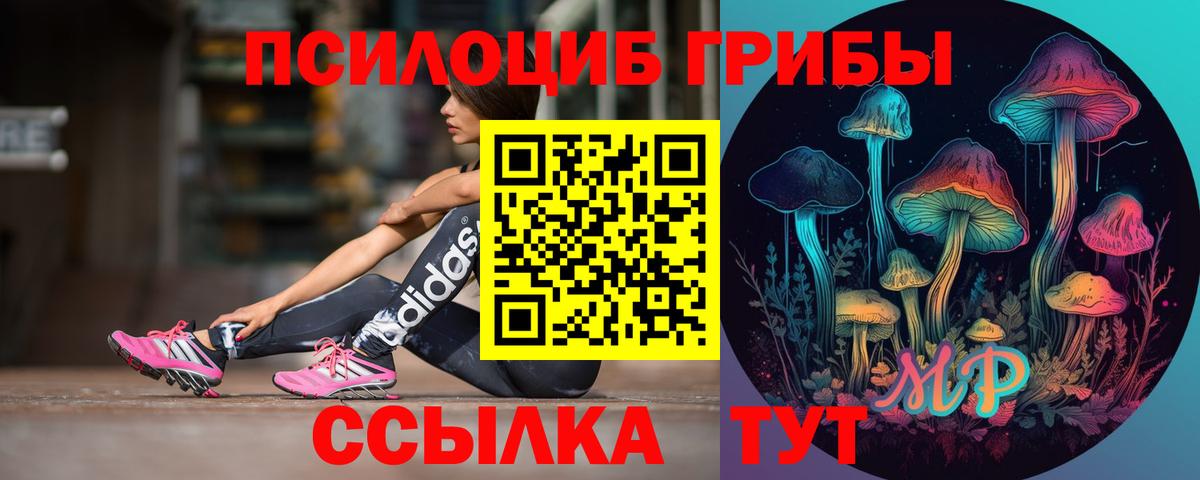 Галлюциногенные грибы Psilocybe Старая Купавна